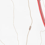 37117NW Page 6 Goldfield Topo Preview 2