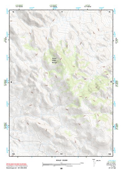 37117NW Page 89 Goldfield Topo Preview 1