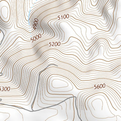 37118SW Page 35 Bishop Topo Preview 3