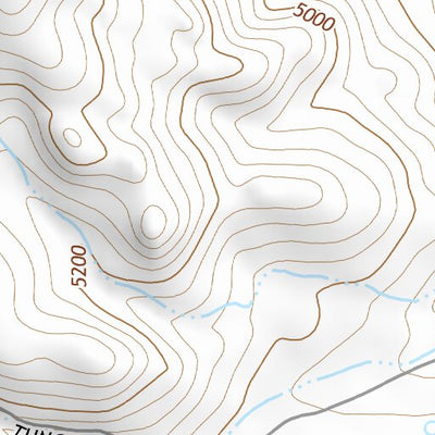 37118SW Page 36 Bishop Topo Preview 2
