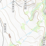 37118SW Page 46 Bishop Topo Preview 2