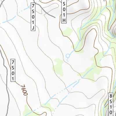 37118SW Page 46 Bishop Topo Preview 2
