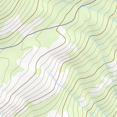 37119SE Page 1 Shaver Lake Topo Preview 2