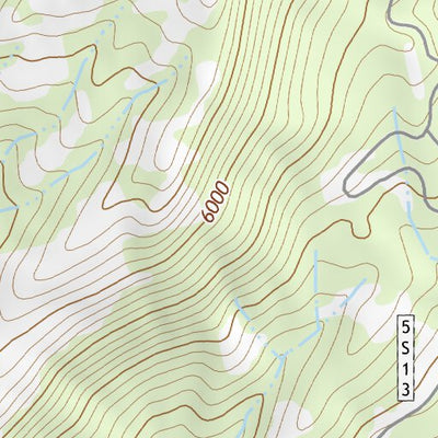37119SE Page 3 Shaver Lake Topo Preview 3