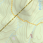 37119SE Page 9 Shaver Lake Topo Preview 3