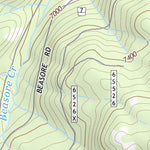 37119SE Page 13 Shaver Lake Topo Preview 3