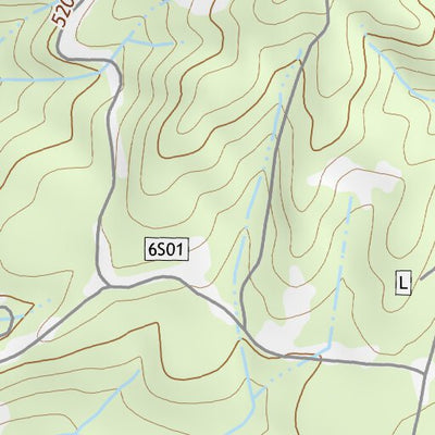 37119SE Page 16 Shaver Lake Topo Preview 2