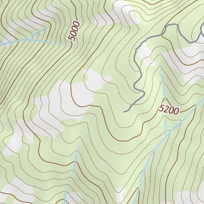 37119SE Page 30 Shaver Lake Topo Preview 2