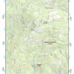 37119SE Page 38 Shaver Lake Topo Preview 1