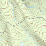 37119SE Page 42 Shaver Lake Topo Preview 2