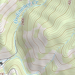 37119SE Page 65 Shaver Lake Topo Preview 3