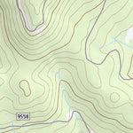 37119SE Page 78 Shaver Lake Topo Preview 2