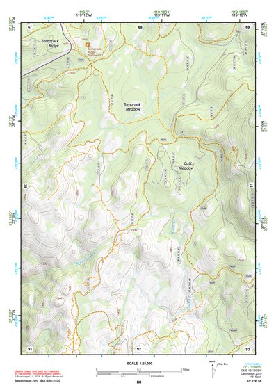 37119SE Page 80 Shaver Lake Topo Preview 1
