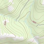 37119SE Page 81 Shaver Lake Topo Preview 2