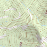 37119SE Page 97 Shaver Lake Topo Preview 3