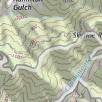 37122NE Page 29 San Francisco Topo Preview 3