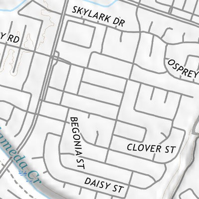 37122NE Page 87 San Francisco Topo Preview 2