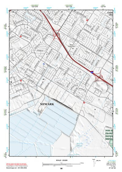 37122NE Page 99 San Francisco Topo Preview 1