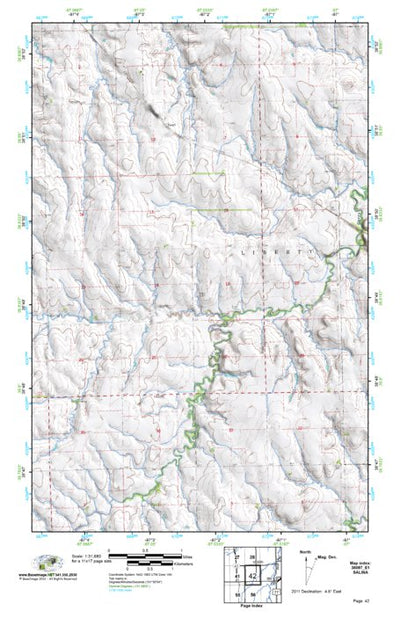 (38097e1) Page 042 Salina Preview 1