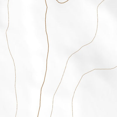 38102NE Page 46 Cheyenne Wells Topo Preview 2