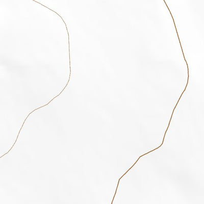 38102NE Page 58 Cheyenne Wells Topo Preview 2