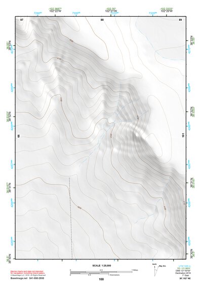 38102NE Page 100 Cheyenne Wells Topo Preview 1