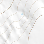 38102SW Page 13 Lamar Topo Preview 3
