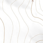 38102SW Page 35 Lamar Topo Preview 2