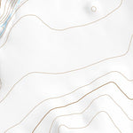 38102SW Page 98 Lamar Topo Preview 2