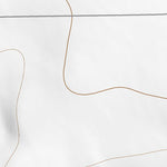 38103SE Page 30 Las Animas Topo Preview 2