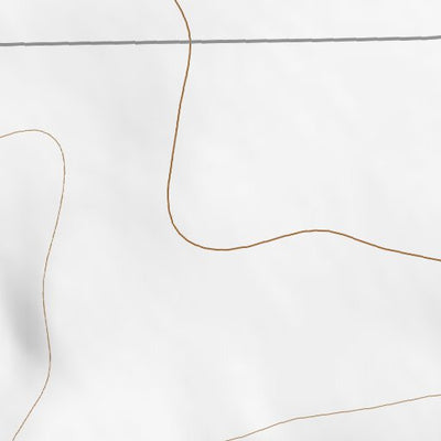 38103SE Page 30 Las Animas Topo Preview 2