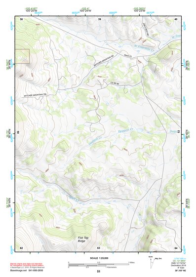 38105NE Page 51 Pikes Peak Topo Preview 1