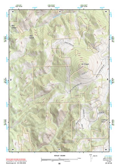 38105NE Page 55 Pikes Peak Topo Preview 1
