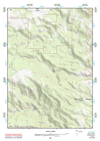 38105NE Page 78 Pikes Peak Topo Preview 1