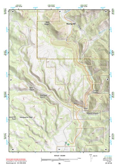 38105NE Page 79 Pikes Peak Topo Preview 1