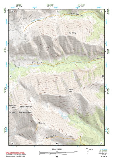 38106NE Page 79 Gunnison Topo Preview 1