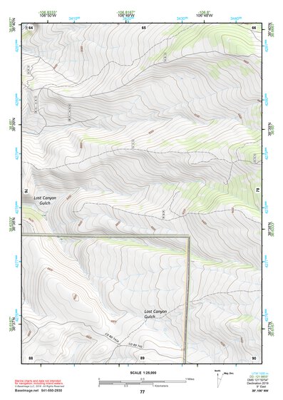 38106NW Page 77 Gunnison Topo Preview 1