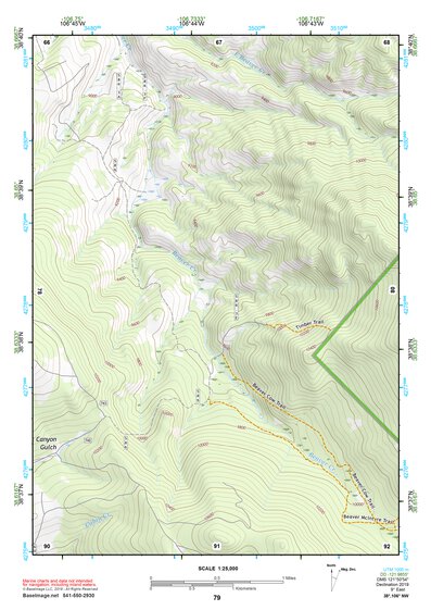 38106NW Page 79 Gunnison Topo Preview 1