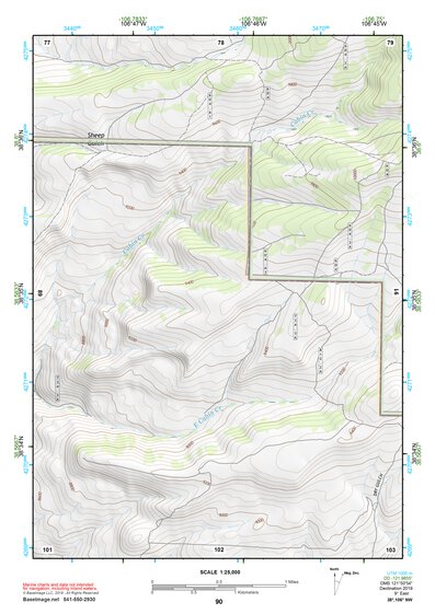 38106NW Page 90 Gunnison Topo Preview 1