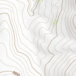 38106SE Page 77 Saguache Topo Preview 2