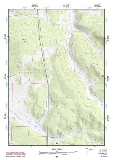 38106SW Page 50 Saguache Topo Preview 1