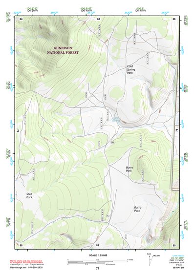 38106SW Page 77 Saguache Topo Preview 1