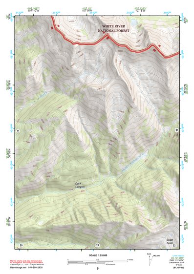 38107NE Page 9 Paonia Topo Preview 1