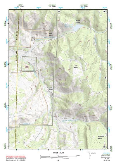 38107NE Page 25 Paonia Topo Preview 1