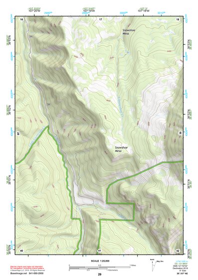 38107NE Page 29 Paonia Topo Preview 1