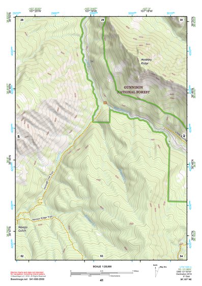38107NE Page 41 Paonia Topo Preview 1