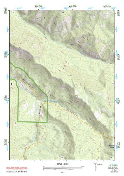 38107NE Page 42 Paonia Topo Preview 1
