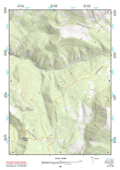 38107NE Page 43 Paonia Topo Preview 1