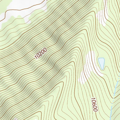 38107NE Paonia Topo Bundle Preview 3