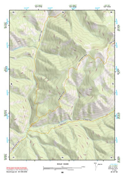 38107NE Page 66 Paonia Topo Preview 1